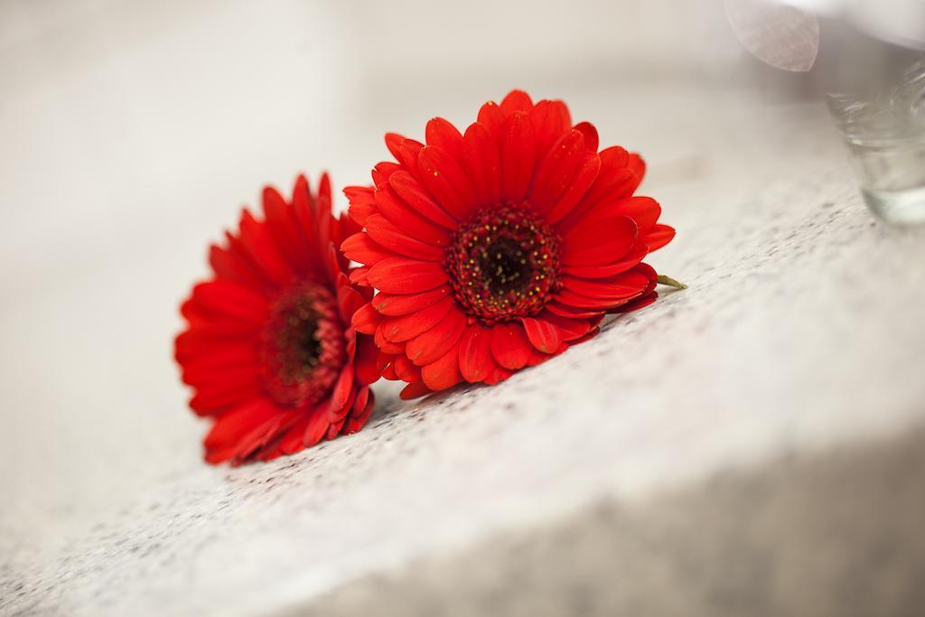 Aparion Apartments Berlin Family 部屋 写真